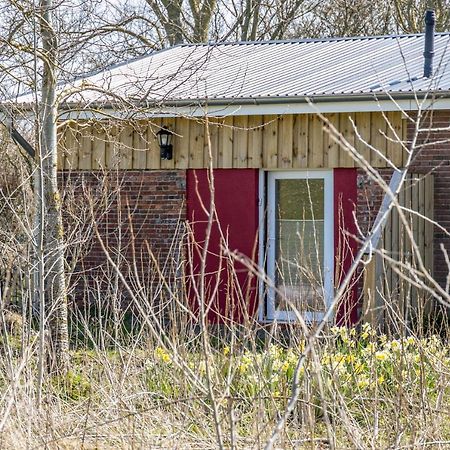 Deichgraf 1 Appartement Friedrichskoog Buitenkant foto