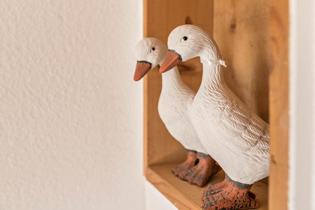 Deichgraf 1 Appartement Friedrichskoog Buitenkant foto