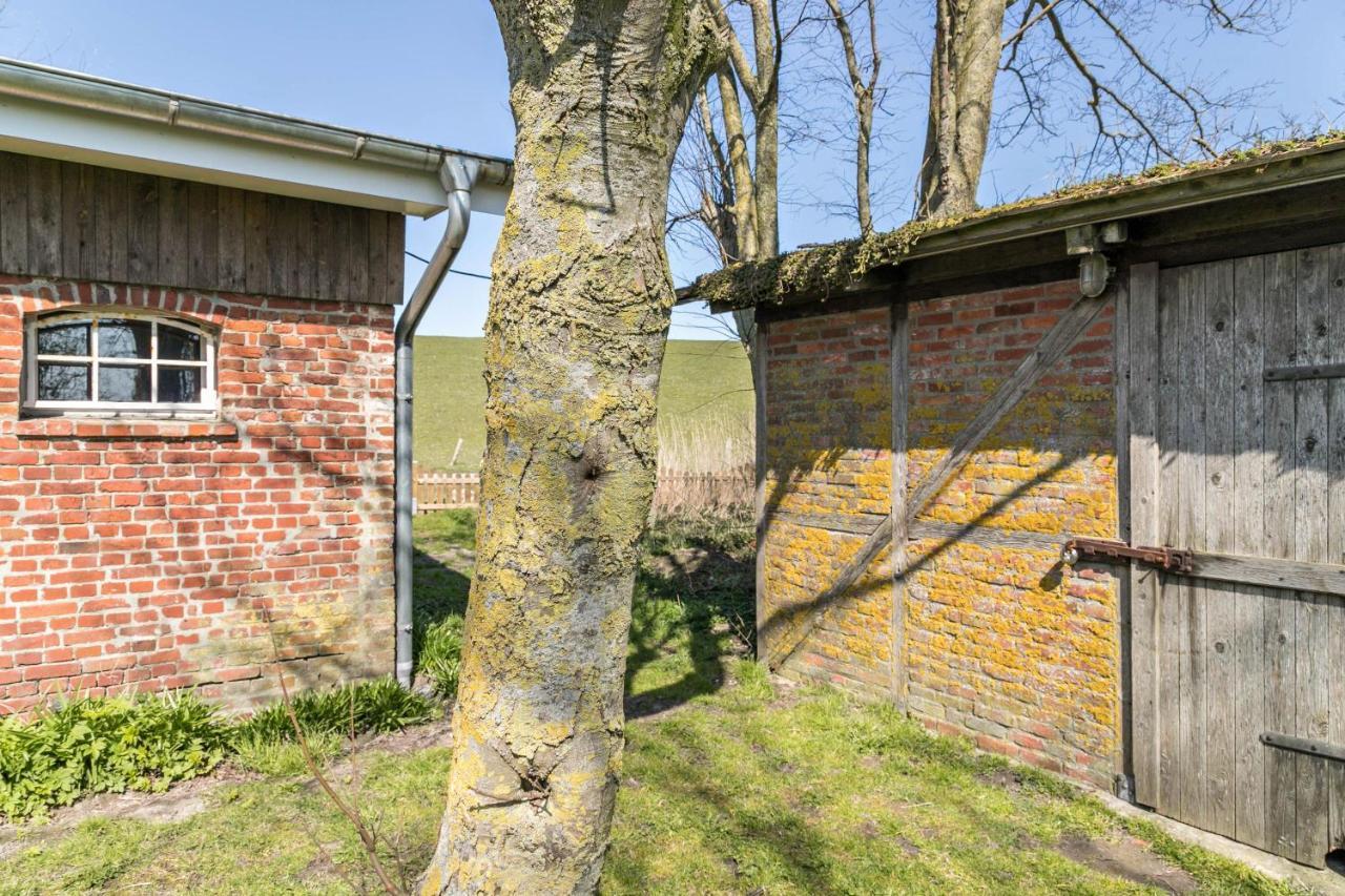 Deichgraf 1 Appartement Friedrichskoog Buitenkant foto
