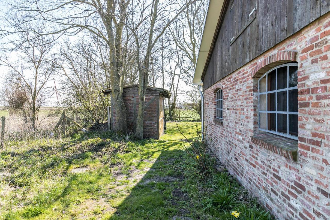 Deichgraf 1 Appartement Friedrichskoog Buitenkant foto